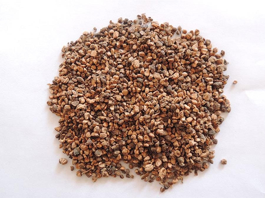 cekirdek-pirina