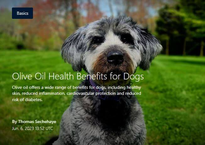 dogs-health