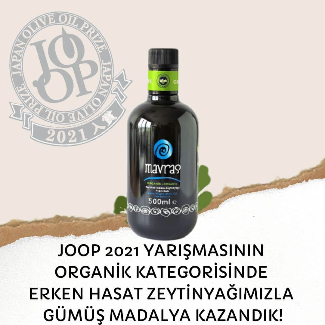 Mavras-JOOP-2021-1