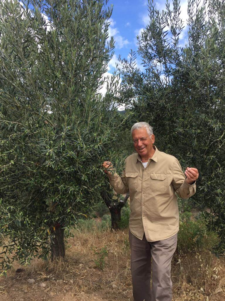 mavras-zeytin-hayattir