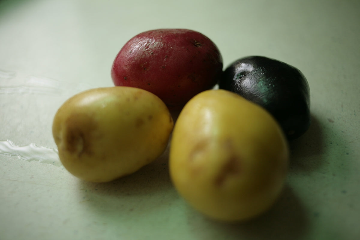 red and yellow round fruits