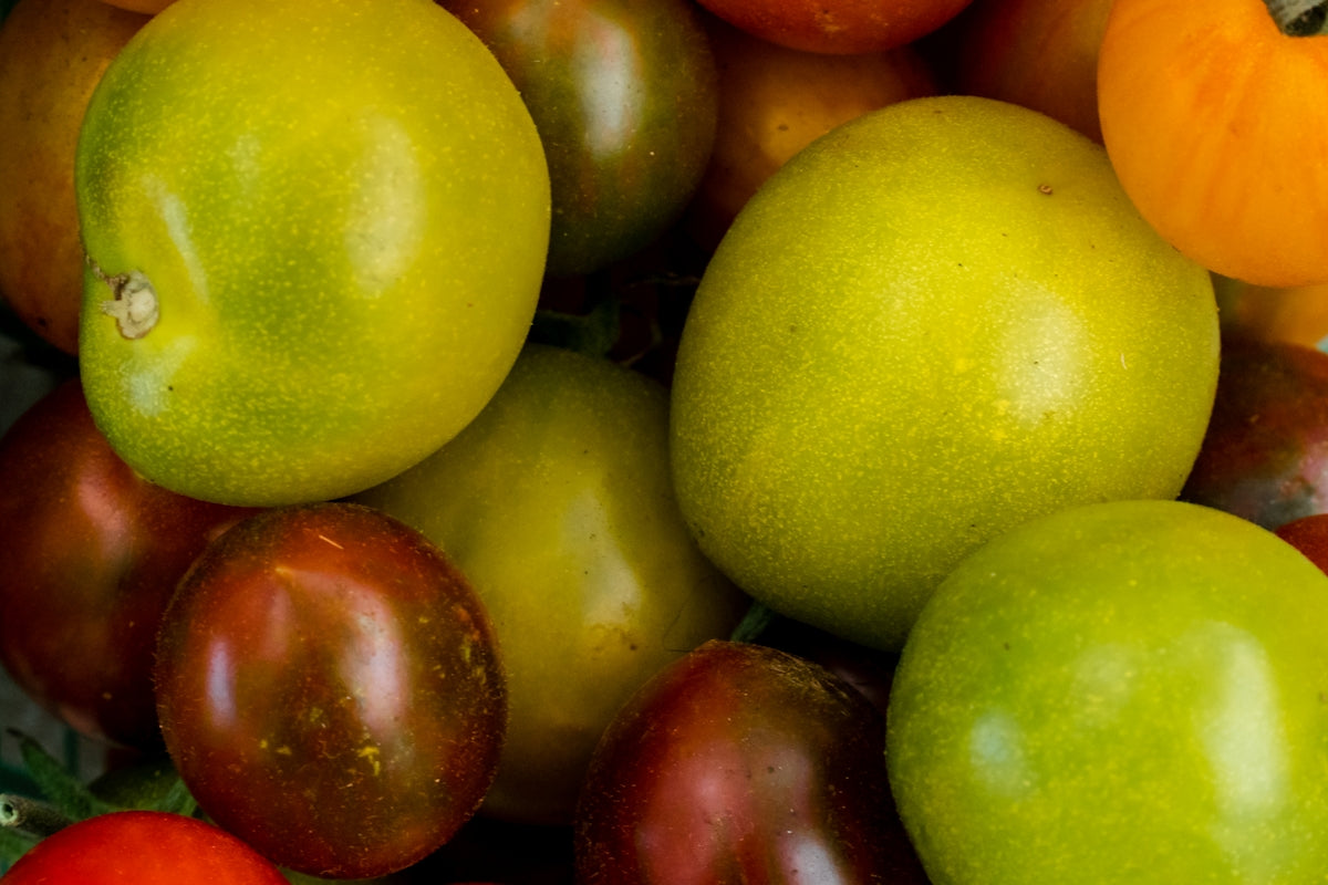 green and red apples on brown wooden shelf