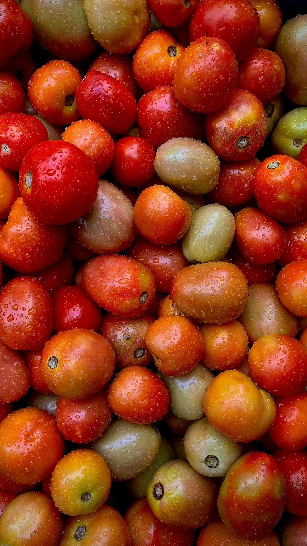 a pile of red and green fruit
