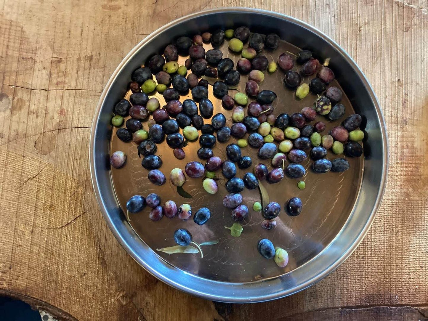 siyah-zeytin