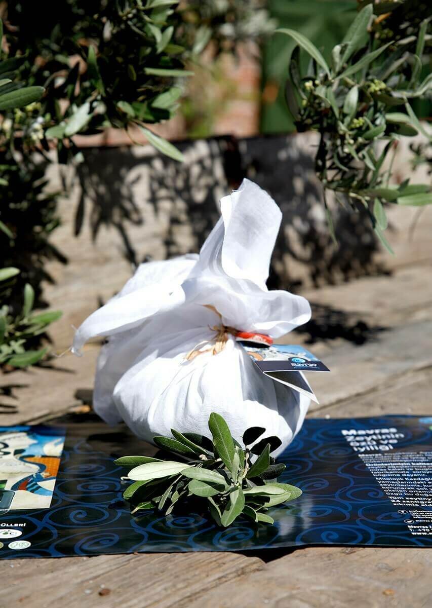 zeytin-yapragi-cayi_853x1200-853x1200