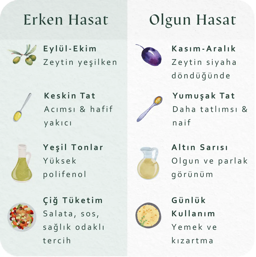 Özel Seri | Erken Hasat | Natürel Sızma Zeytinyağı | 0.4% Asidite