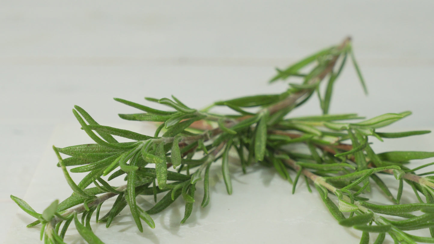 Rosemary Essential Oil